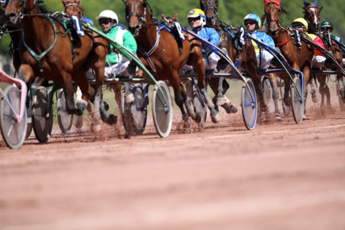 « Fury », « Gus » et « Ekir », le trio dominical gagnant