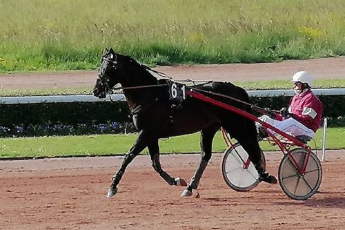 Hasir sur la bonne voie