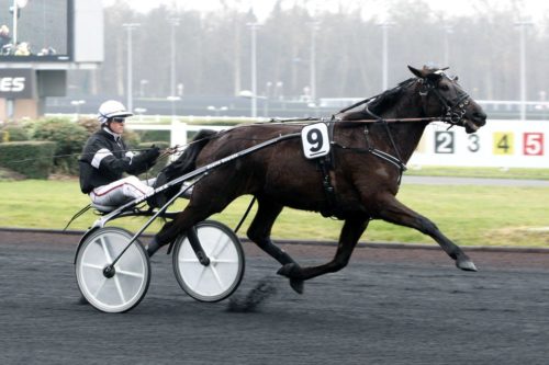 RAPIDE LEBEL (2005)