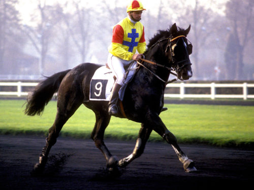 UN BEAU BRUN (1986)