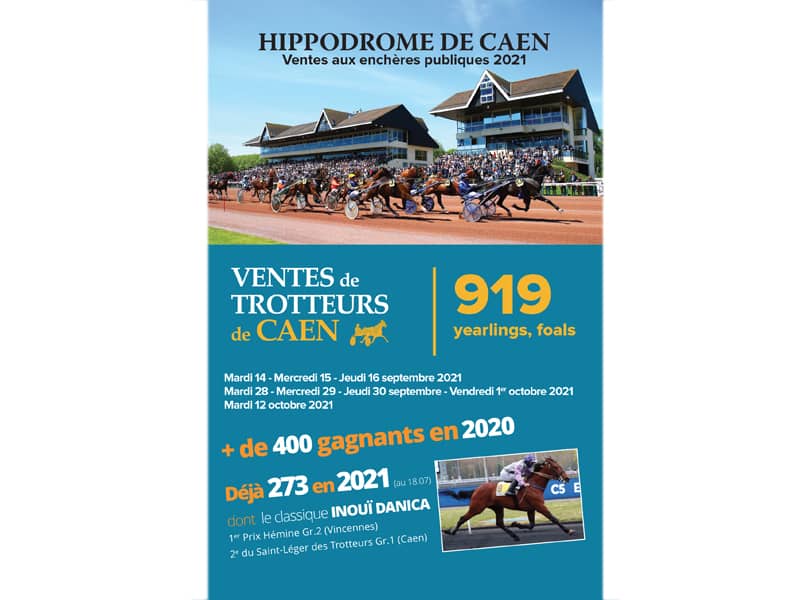 You are currently viewing PRINCIPALES MISES À JOUR DES PRODUCTIONS DES 1res MÈRES (Ventes des 14, 15 et 16 septembre)