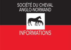 Lire la suite à propos de l’article Elections Collège des Eleveurs : la position de l&rsquo;Anglo-Normand