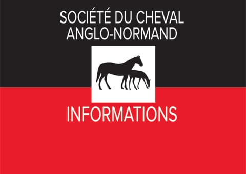 You are currently viewing Adhérer à « l&rsquo;Anglo-Normand », c&rsquo;est participer à une dynamique